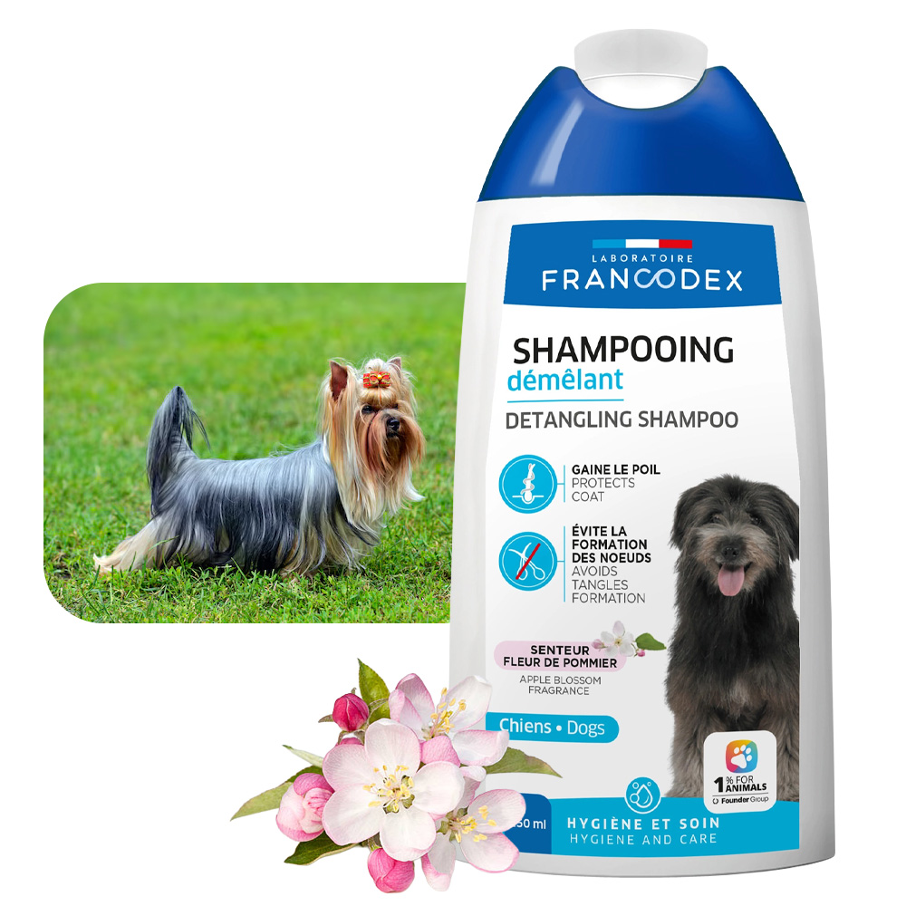FRANCODEX Szampon dla Psa 2w1 Ułatwia Rozczesywanie 250ml Odżywka
